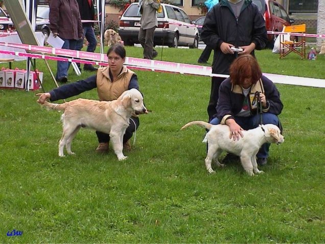 1. Auftritt: Clubsieger Show Marienberg 2001