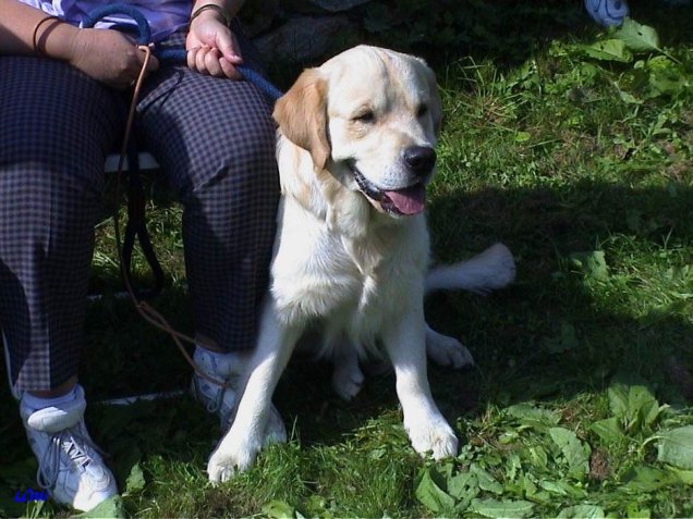 Clubsieger Show Ottenstein 2002