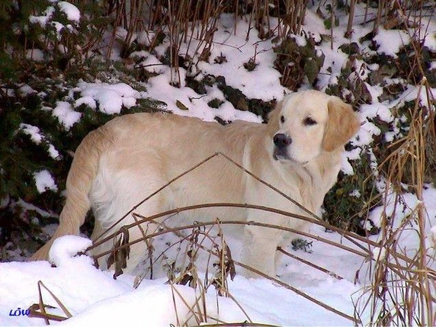 2002: Der erste Schnee