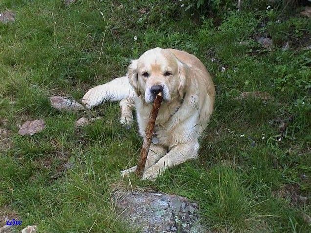 Osttirol Juli 2004