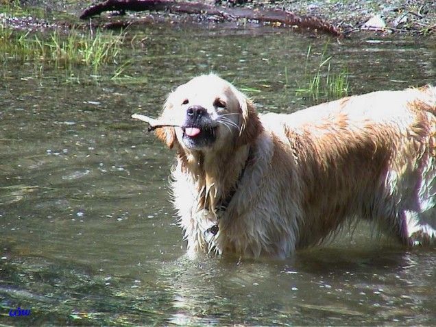 Osttirol Juli 2004