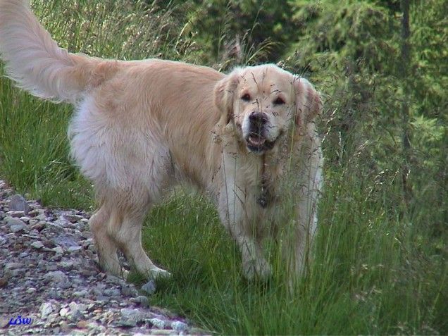 Osttirol Juli 2004