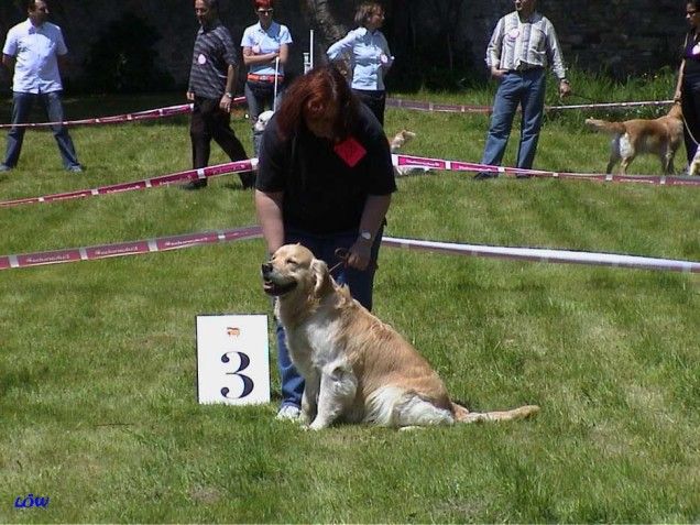 Ottenstein Mai 2004: Club Sieger Show