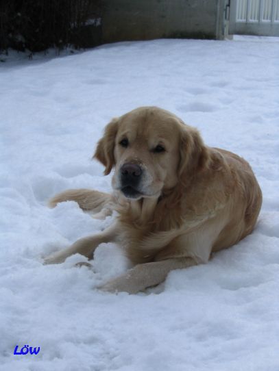 Februar 2005: Ich habe Schnee zum Fressen gern