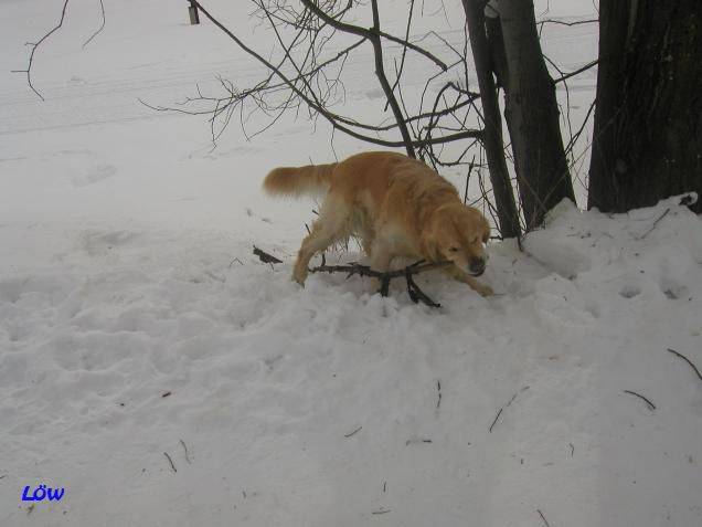 Februar 2006 - Osttirol