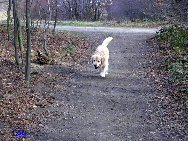 Januar 2007 - Irgentwo muss der Schnee doch sein