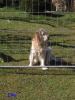 30.3.2008 - Hinter Gittern