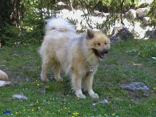 Osttirol Juli 2004: He, ich hab was gehört