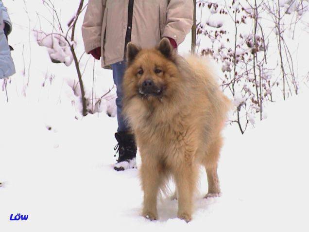 Dezember 2005 - Winterspaziergang