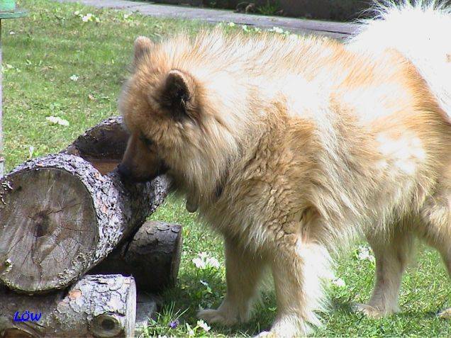 Ostern 2006 -  Wo ist das Wasser?