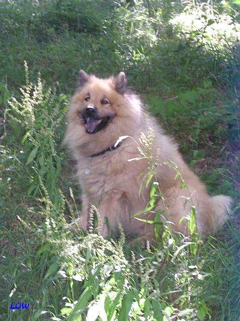 Juli 2007 - Heimweh