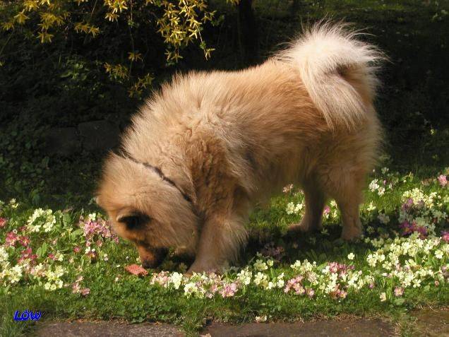 Ostern 2007 - Hasenfährte