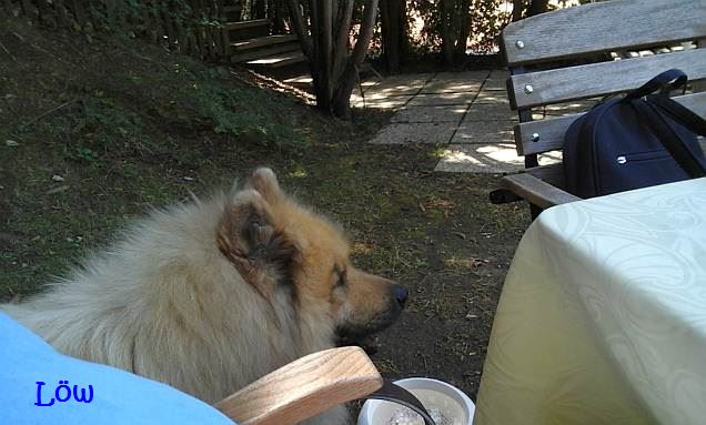 24.7.2016 - Auf dem Tisch, da gibt's was zum Fressen.