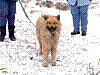Dezember 2004: Schnee in der Steiermark