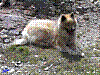 Osttirol Juli 2004