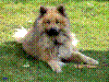 Ostern 2004
