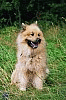 August 2006 - Wann geht's los