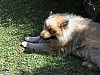 Juli 2006 - Hitze