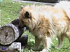 Ostern 2006 - Durst