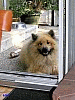 Juni 2007 - Fenstergucker