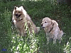 Juli 2007 - Weggefährten