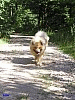 Juli 2007 - Der lange Weg