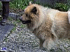 April 2007 - Bruck/Mur